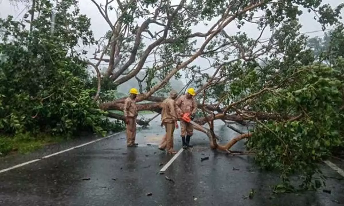 Odisha Begins Restoration And Relief Efforts Following Cyclone Danas Aftermath