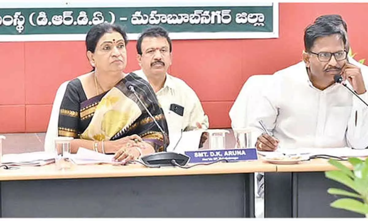 MP Aruna guides Disha committee on district development