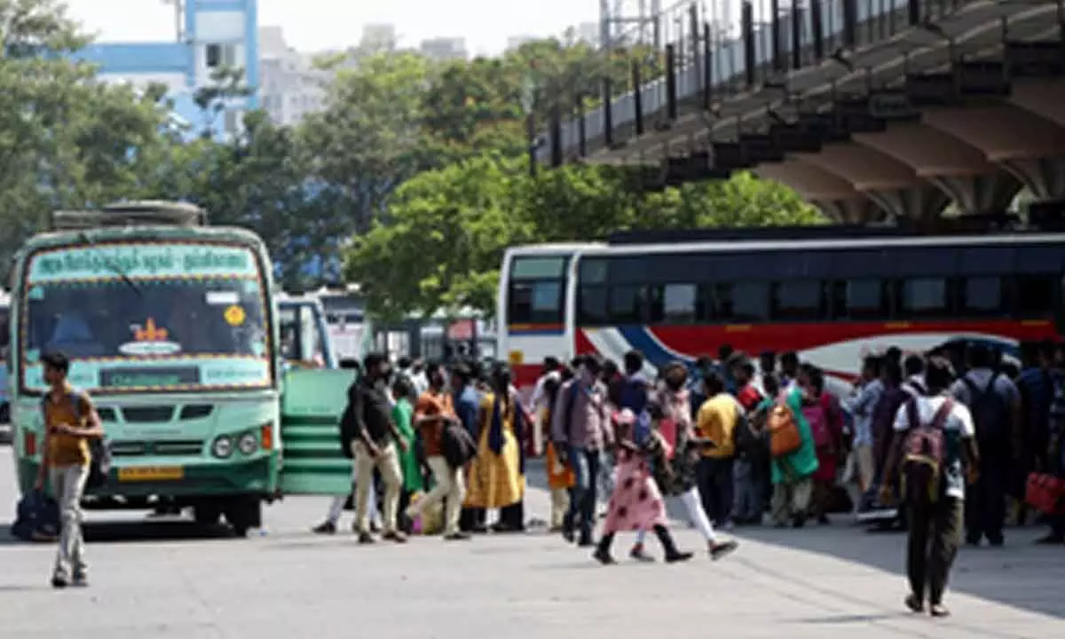 Diwali rush: TN forms special teams to monitor bus fare hikes by private operators