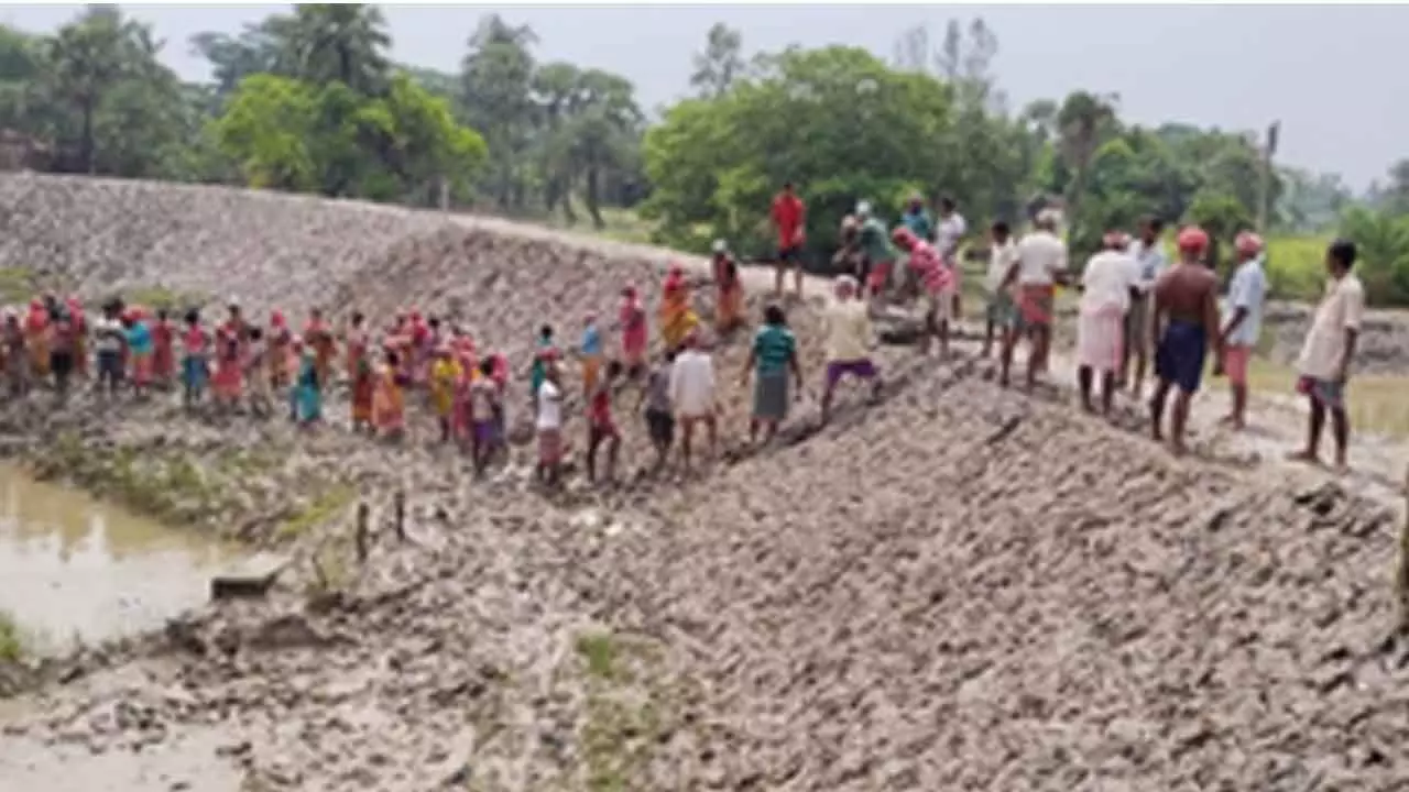 Person days in MGNREGS increase 76 pc in last 10 years