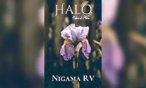 Exploring the Emotional Spectrum of Life