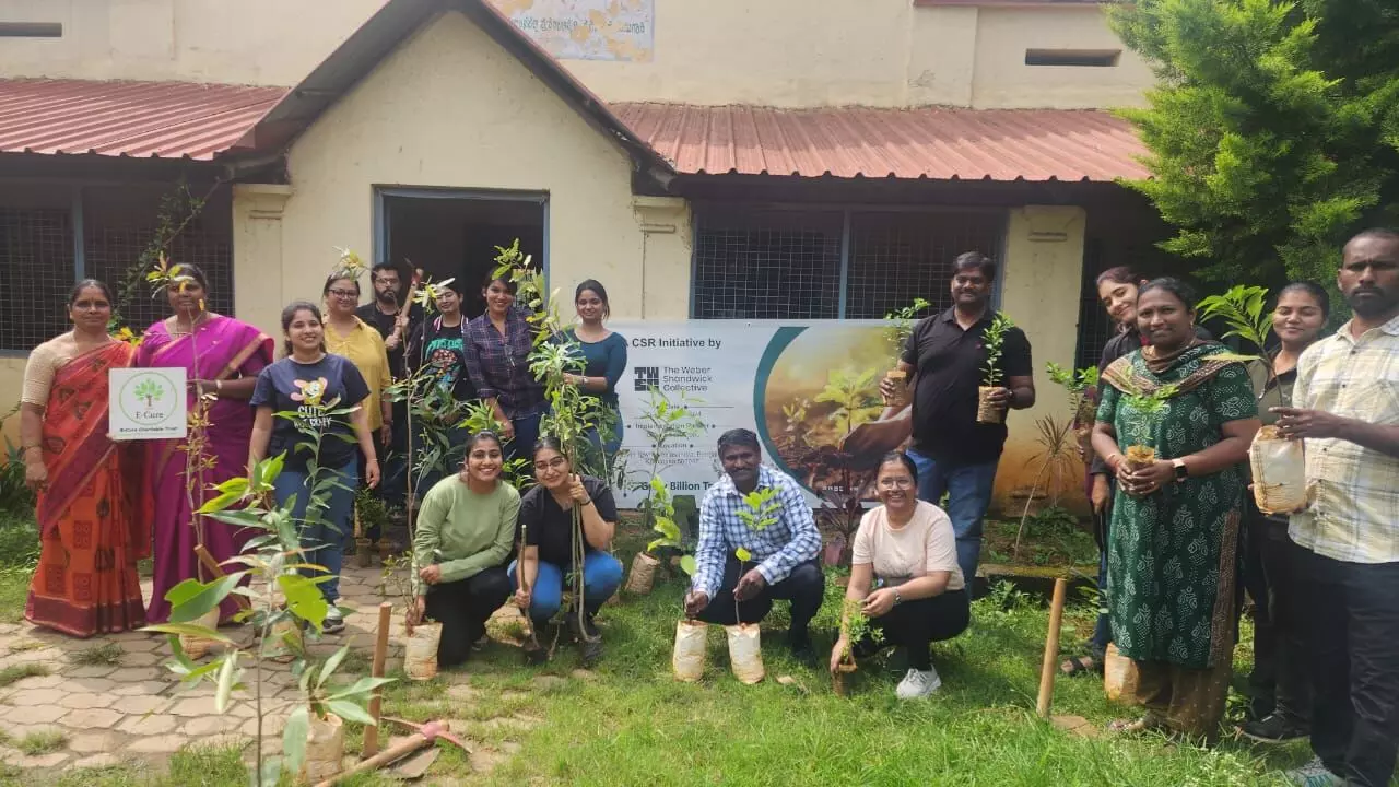 TWSC Tree Plantation Drive Joins Grow Billion tree drive