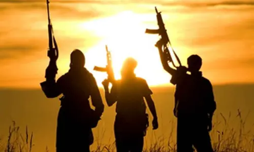 40 terrorists killed in Mali, says army