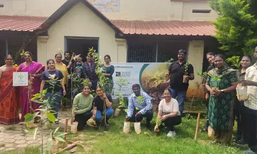 TWSC Tree Plantation Drive Joins Grow Billion tree drive