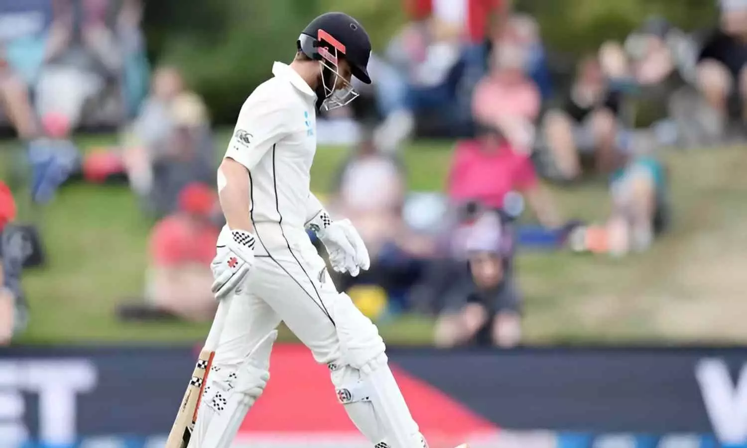 IND vs NZ: Kane Williamson to miss Mumbai Test match; hopes to be ready for England series