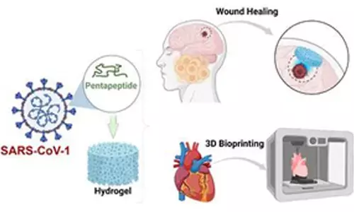 Indian scientists develop method to create hydrogels to boost drug delivery