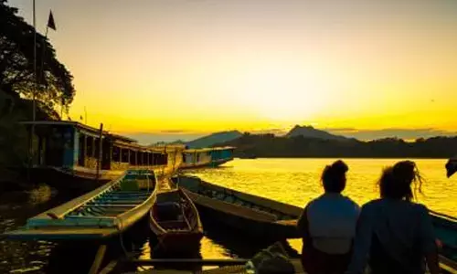 Laos seeks to boost cattle production