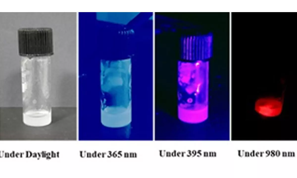 INST scientists develop anti-counterfeiting ink to curb document duplication