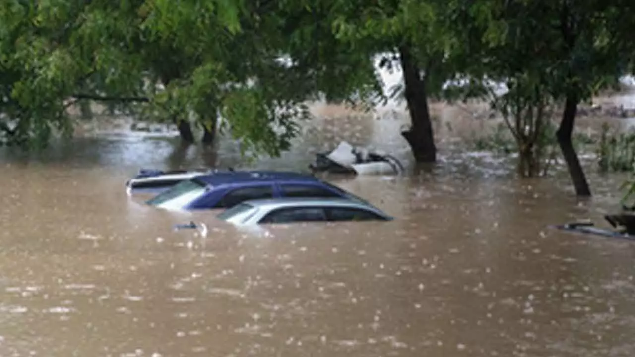 Tanzania suffers $69 million crop loss from El Nino floods