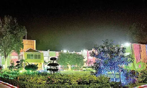 People urged to use eco-friendly crackers