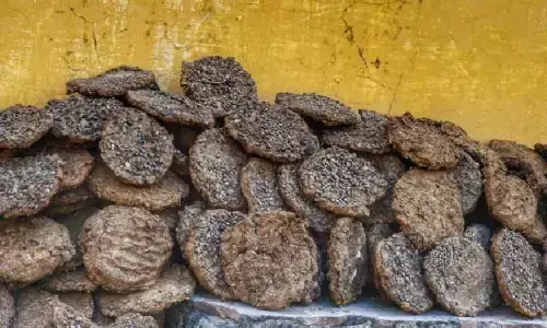Cow dung cakes for cremation at Puri Swargadwar