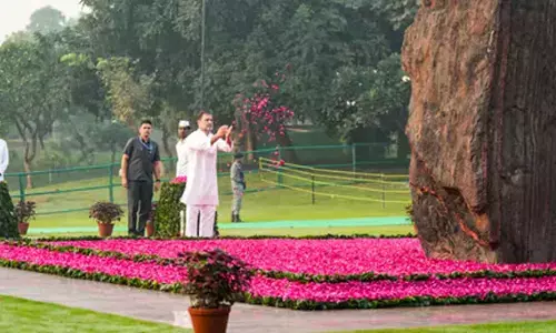 Rahul, Priyanka remember Indira Gandhi on her death anniversary