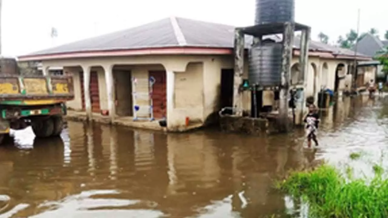 Nigeria: 321 people killed in nationwide flooding