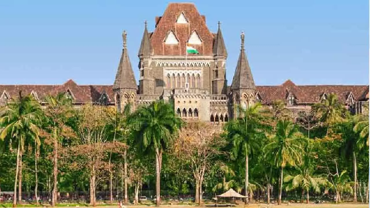 Bombay High Court Permits Termination Of 30-Week Pregnancy For 11-Year-Old Rape Survivor