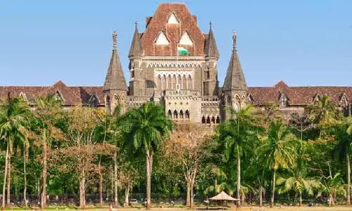 Bombay High Court Permits Termination Of 30-Week Pregnancy For 11-Year-Old Rape Survivor
