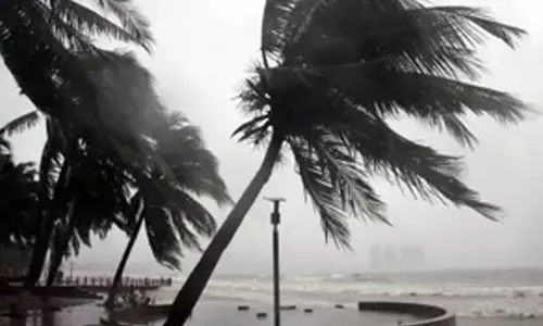 China steps up precautionary measures against Typhoon Kong-rey