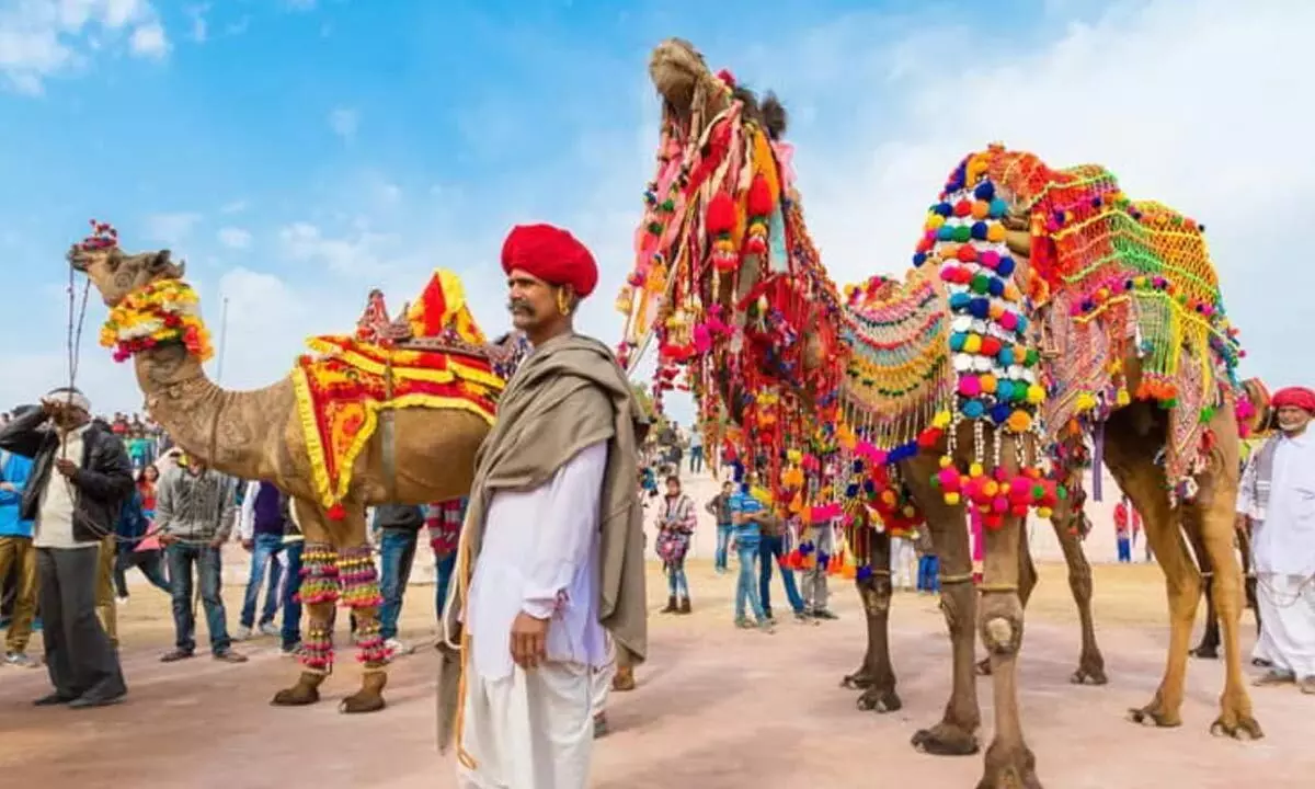 Pushkar Mela 2024 Kicks Off Today: Cultural Extravaganza and Holy Dip Limited to Four Days