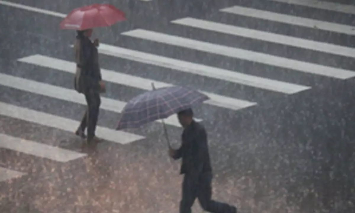 Heavy rain halts trains in Japan, triggering landslide risks