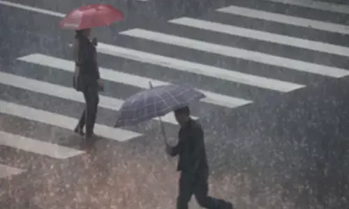 Heavy rain halts trains in Japan, triggering landslide risks