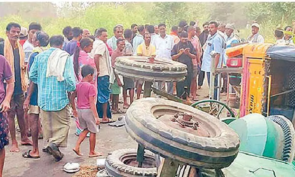 Elephants wreck auto rickshaw