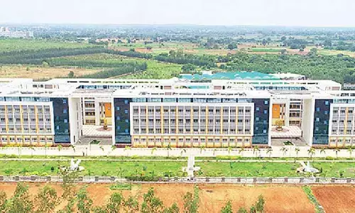 SKLTHU aims at 100 pc placement for students: VC