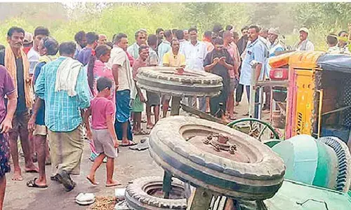 Elephants wreck auto rickshaw