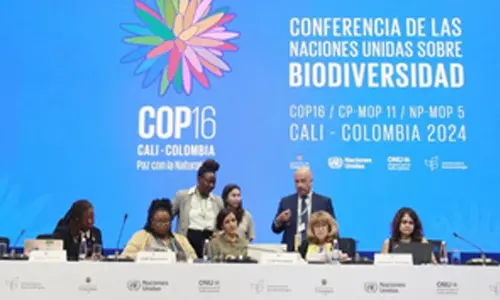 COP16 ends with historic recognition of indigenous, Afro-descendant communities