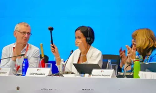 UN biodiversity talks in Cali end with key decisions on finance delayed