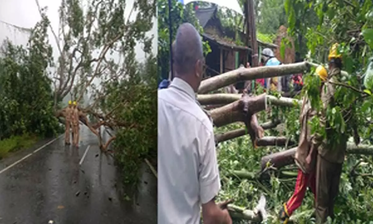 Odisha: Damages caused by Cyclone Dana stand around Rs 600 crore