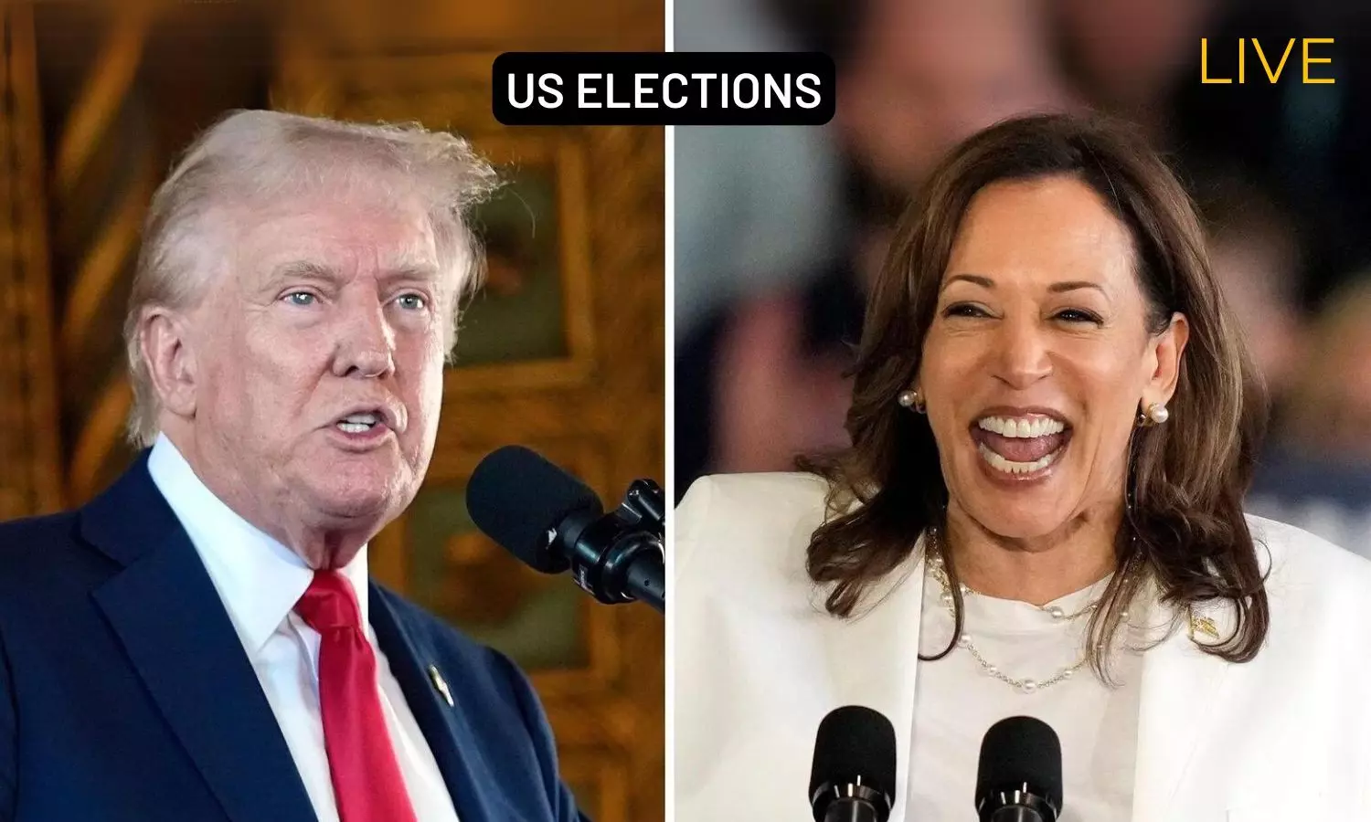 2024 US Election: Battleground States and Early Voting Trends That Could Shape Harris vs Trump