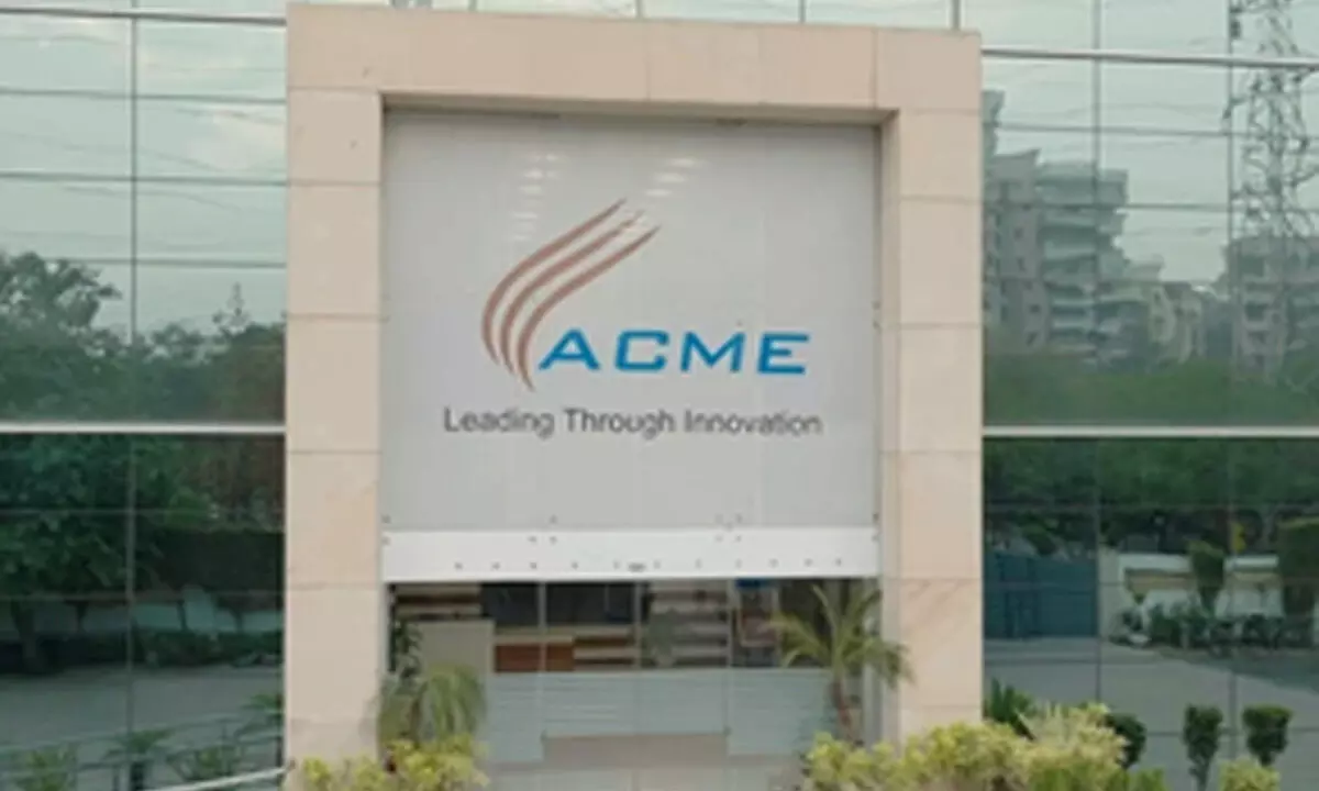 ACME Solar IPO: Concentrated revenue, dependence on govt-owned infra among key risks