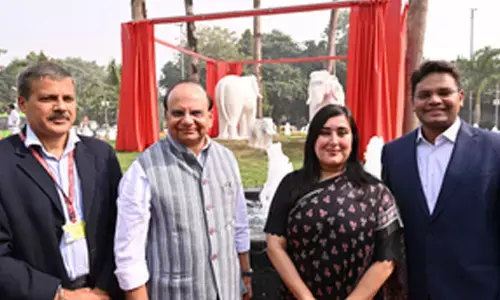 Country’s first museum on women achievers to open in Delhi next year: L-G