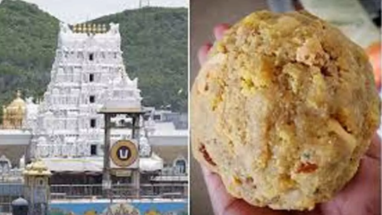 Tirupati Laddu Adulteration: CBI forms 5-member SIT to probe allegations