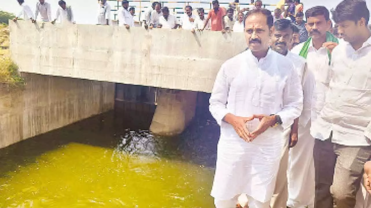 Kadiri MLA releases Krishna waters into HNSS main canal