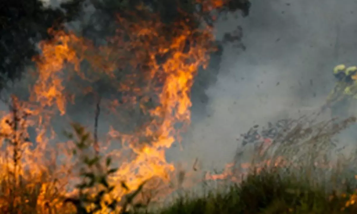 Bushfire threat forces evacuation of Australian town