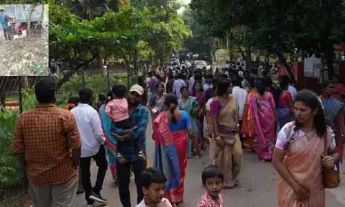 Visakhapatnam: Nagula Chavithi celebrated with devotional fervour