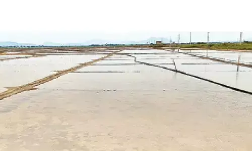 Salt cultivation faces crisis in Srikakulam dist