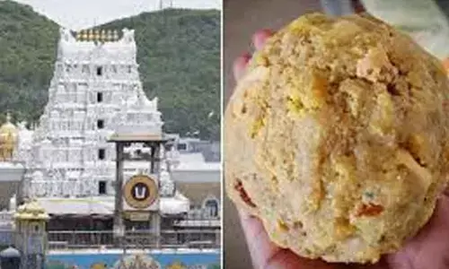 Tirupati Laddu Adulteration: CBI forms 5-member SIT to probe allegations