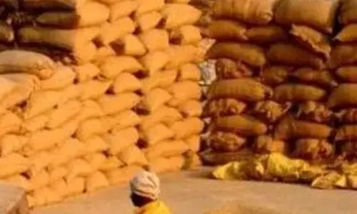 Kharif paddy purchase to start from Nov 3rd week