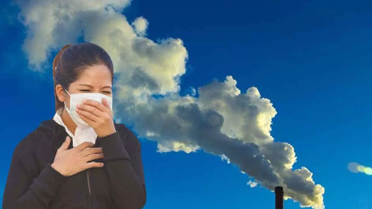 Hidden impact of air pollution on student health, cognition