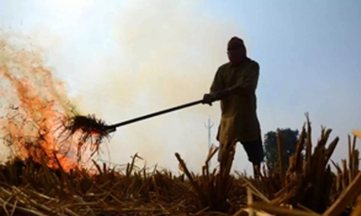 Centre doubles penalty for stubble burning amid rising air pollution in Delhi-NCR