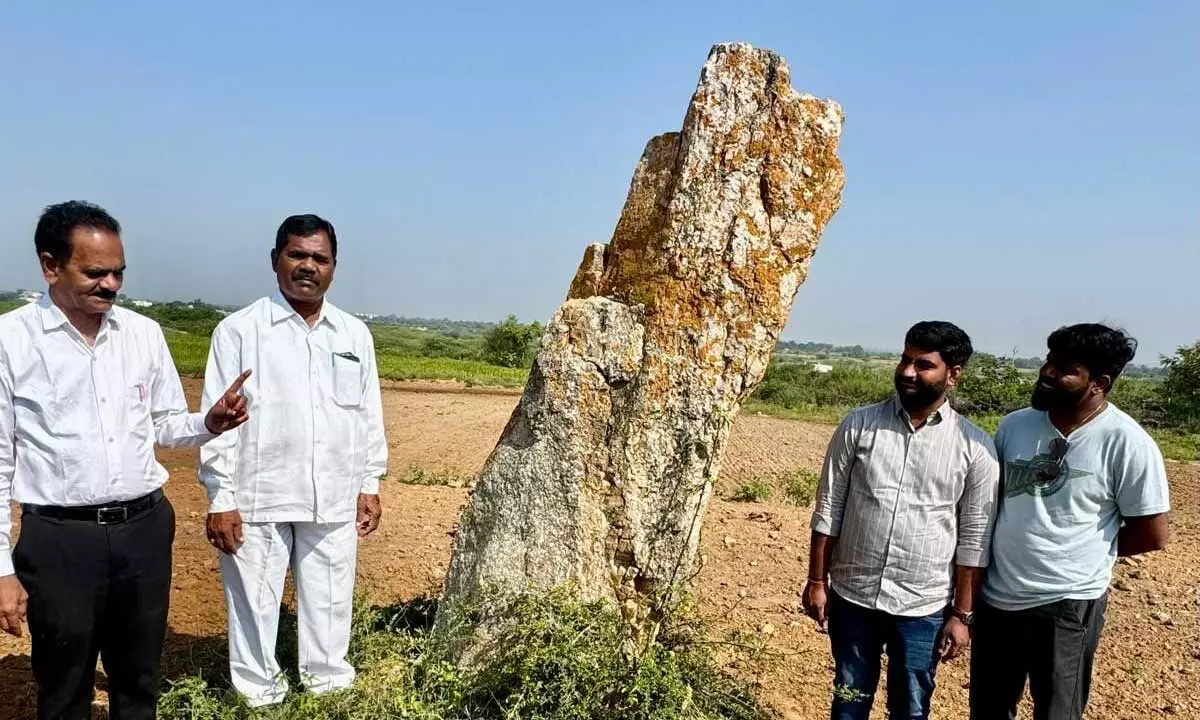 3500-Year-Old Menhir in Kamsanpally Village: A Call for Preservation