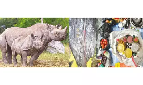 4 Rhino poachers arrested in Darranged