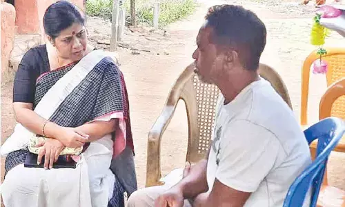 Probe begins into mango kernel deaths