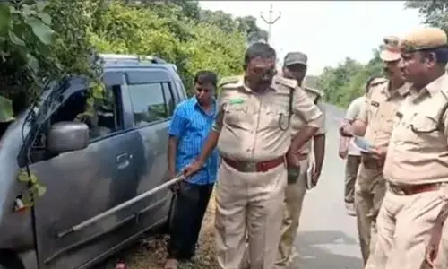 Ahobilam: Tiger injured after hit by a car