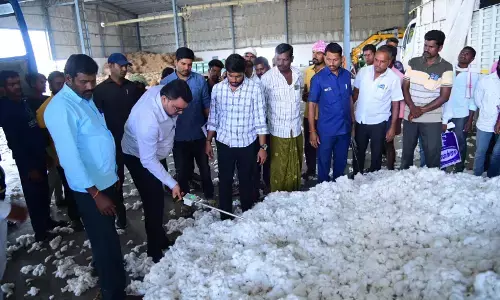 Sun-Dried Cotton to Be Taken to CCI Purchase Centers, Avoid Middlemen - Collector