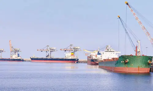 Adani Port achieves a new record in timber log handling