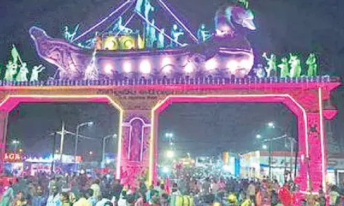 HC allows Baliyatra on both grounds