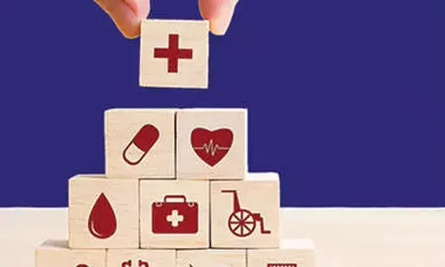 Irdai chief calls for 100% FDI in insurance sector