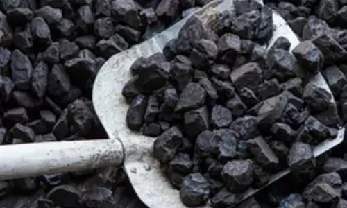 India’s rising coal production to keep global price in check: Report